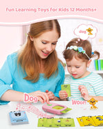 Talking Flash Card Reader with 224 Double-Sided Cards