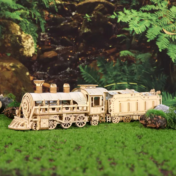 Wooden Locomotive and Carriage Model Kit