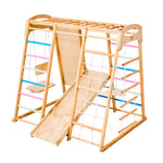 Wooden Indoor Playground with Slide and Swing